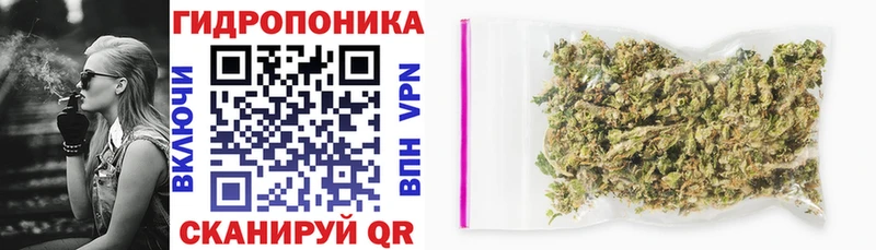 Купить где  Клинцы  Шишки марихуана план 